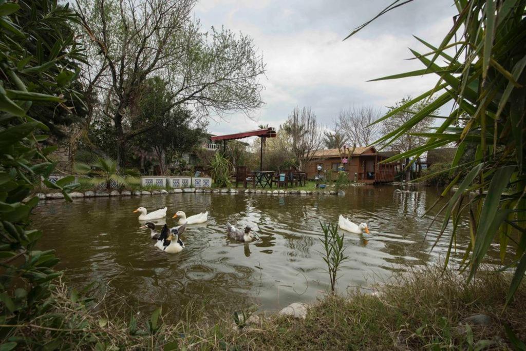 Otantik Tas Ev Bed and Breakfast Dalaman Εξωτερικό φωτογραφία
