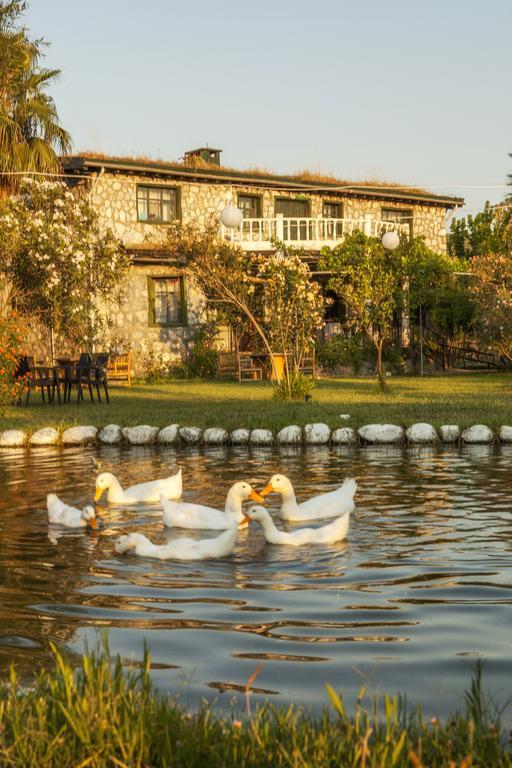 Otantik Tas Ev Bed and Breakfast Dalaman Εξωτερικό φωτογραφία