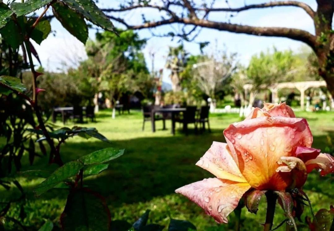 Otantik Tas Ev Bed and Breakfast Dalaman Εξωτερικό φωτογραφία