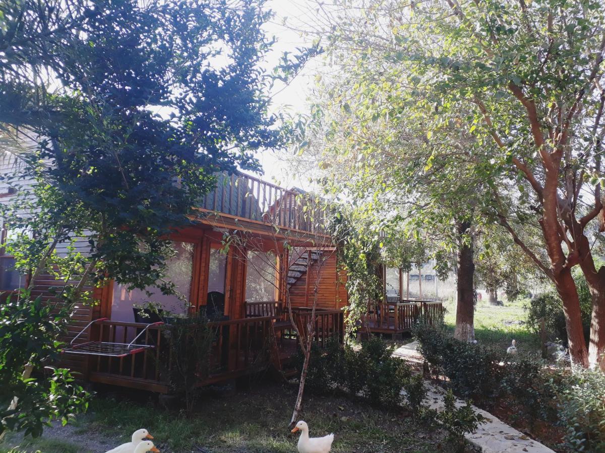 Otantik Tas Ev Bed and Breakfast Dalaman Εξωτερικό φωτογραφία
